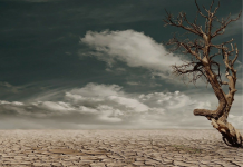 Reflexões sobre Transição Ecológica e Energética